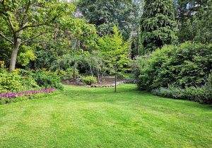 Optimiser l'expérience du jardin à Bruay-la-Buissiere